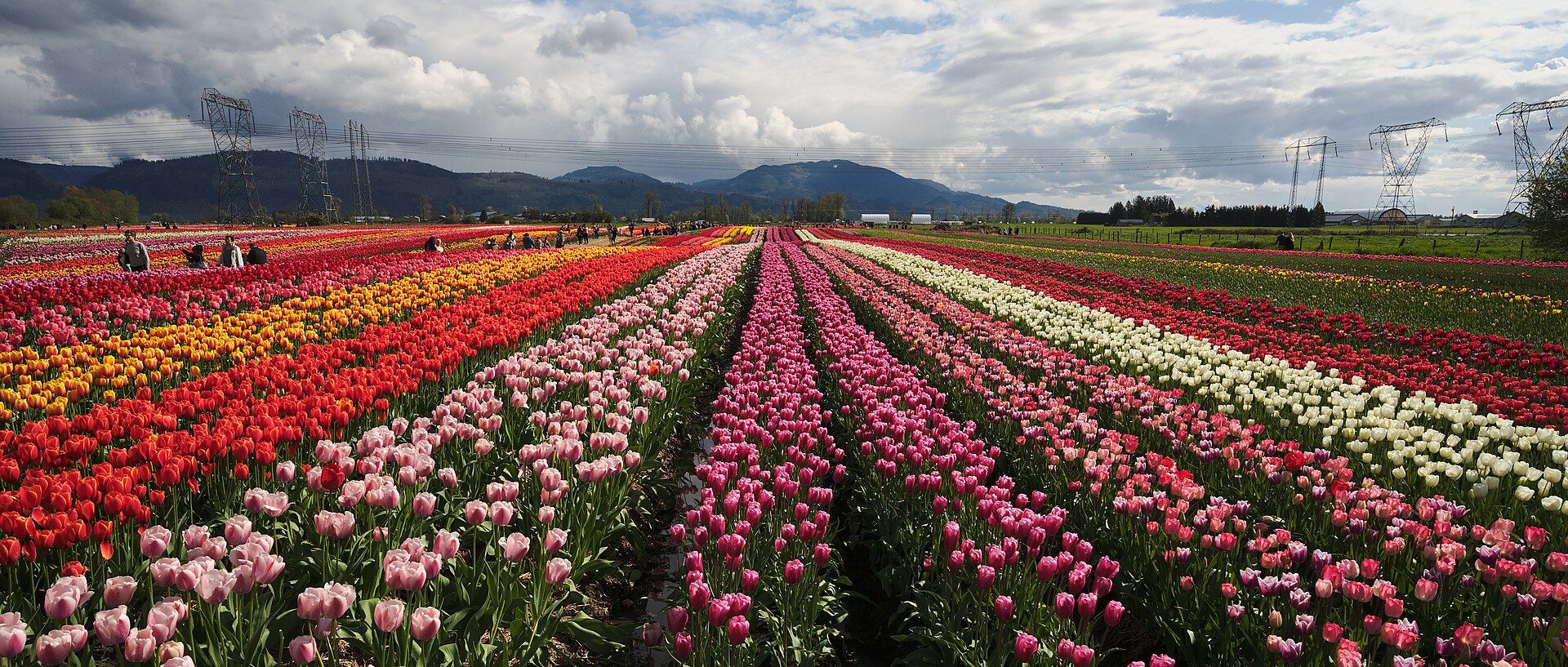 Abbotsford, BC